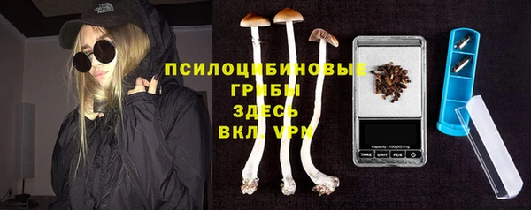 кокаин Каменка